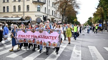 STOCKHOLM, SVERIGE 20260823
Demonstranter tågar från Vasaparken när Naturskyddsföreningen tillsammans med Rebellmammorna, Rebellpapporna och Researchers Desk anordnad en stor klimatdemonstration i Stockholm under söndagen.
Foto: Christine Olsson / TT / Kod 10430